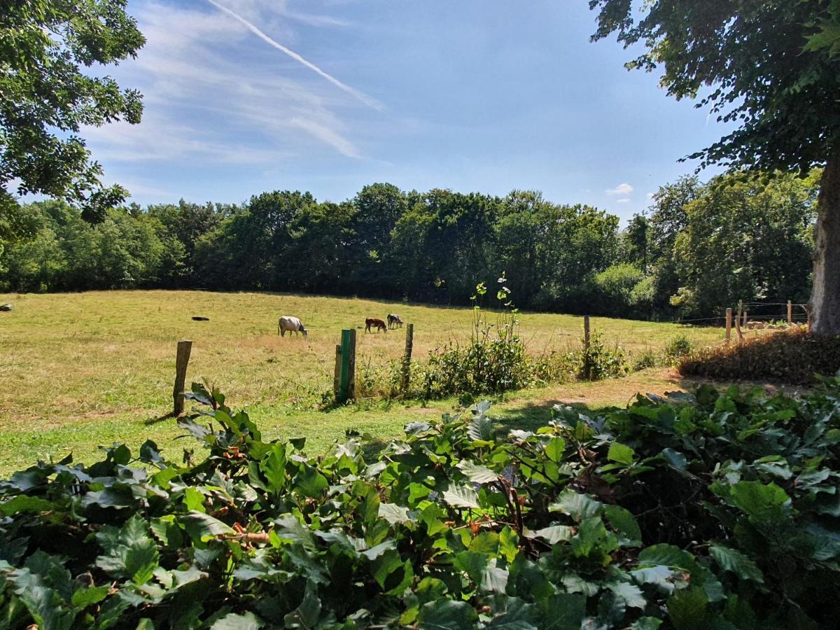 Slotsgaardens Hus Villa Jels Bagian luar foto
